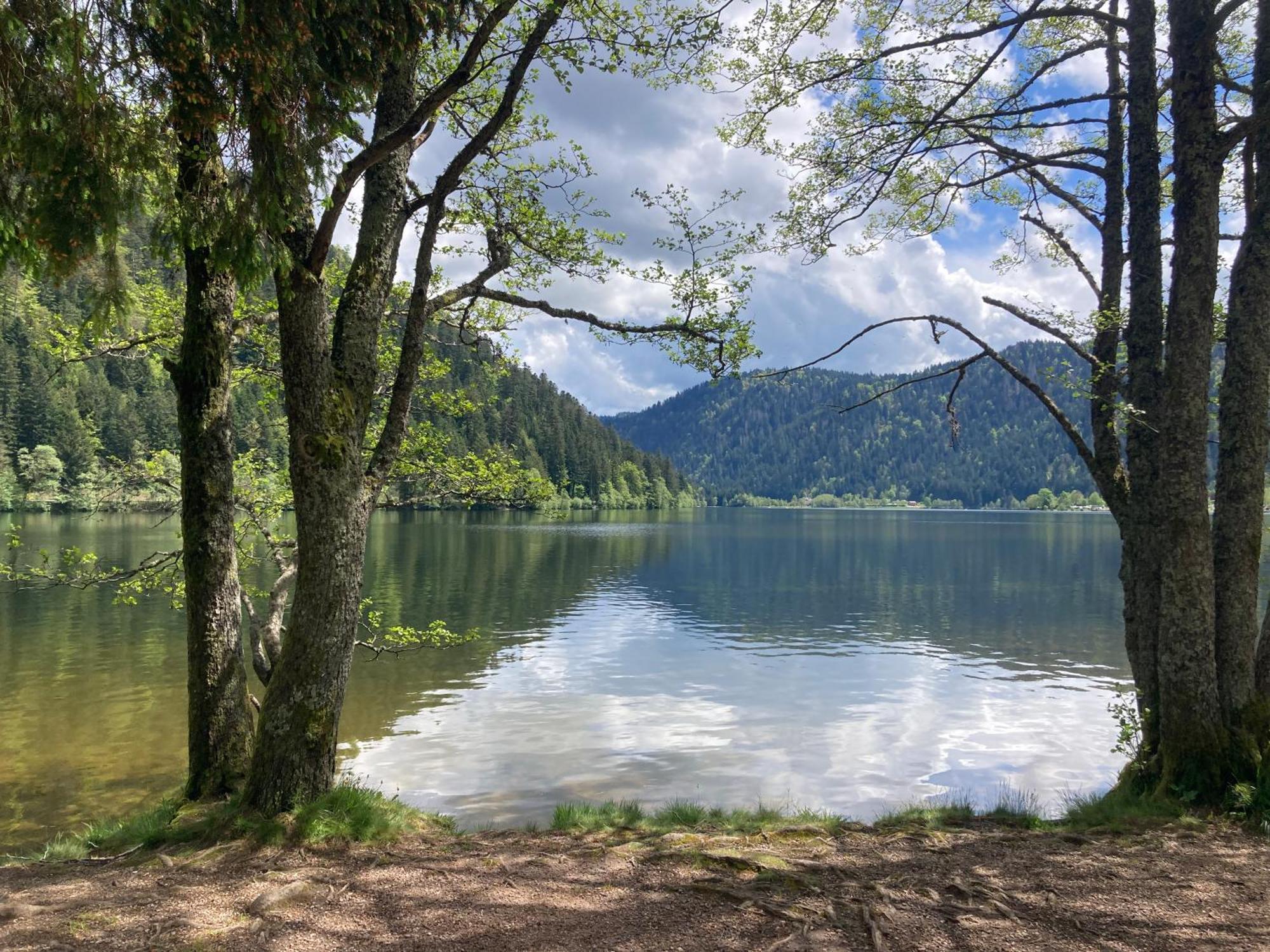 Le Perchoir, Gite 7 Personnes, Le Grand Valtin Ban-sur-Meurthe-Clefcy Exteriör bild