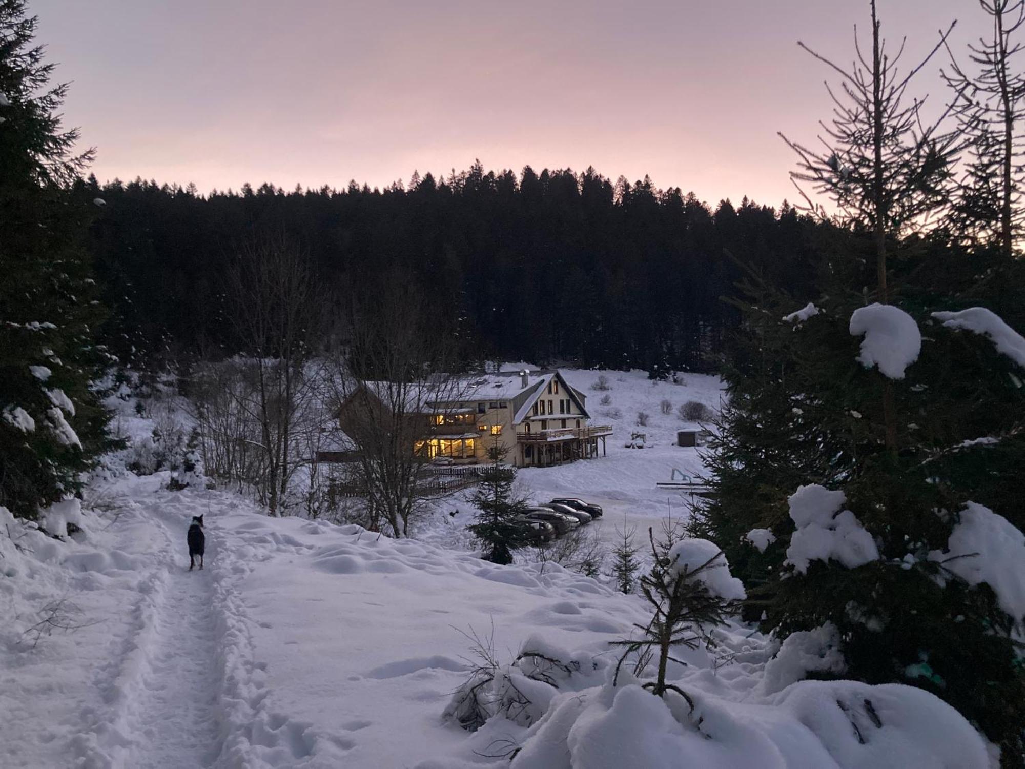 Le Perchoir, Gite 7 Personnes, Le Grand Valtin Ban-sur-Meurthe-Clefcy Exteriör bild